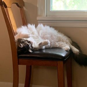 Meet your Posher, Helena